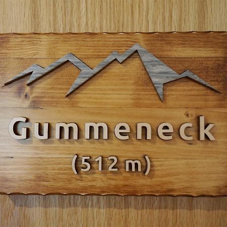 Gummeneck - Stubenhof, Black Forest Simonswald Exterior foto